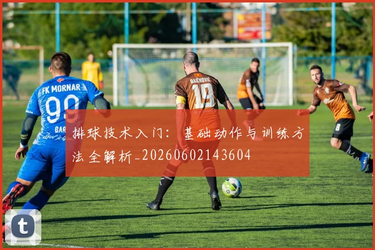 排球技术入门：基础动作与训练方法全解析_20260602143604