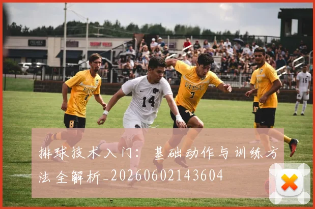 排球技术入门：基础动作与训练方法全解析_20260602143604