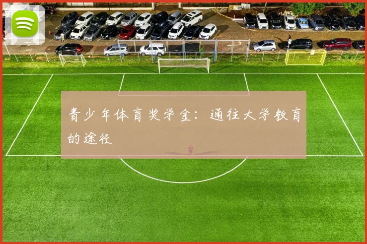 青少年体育奖学金:通往大学教育的途径